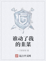 谁动了我的韭菜章节列表