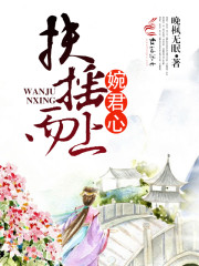 扶摇而上婉君心章节列表