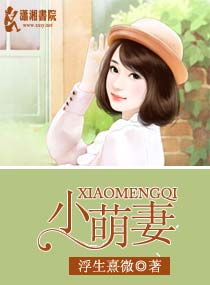 小萌妻章节列表
