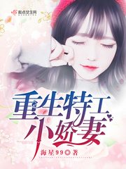 重生特工小娇妻章节列表