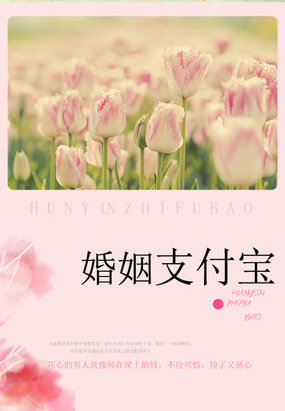 妻子的秘密：婚姻支付宝章节列表