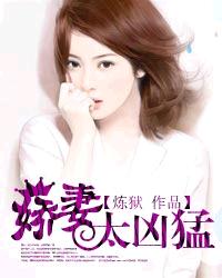 娇妻太凶猛章节列表