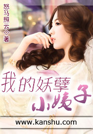 我的妖孽小姨子章节列表