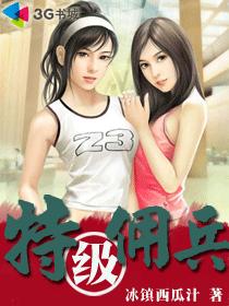 特级佣兵章节列表