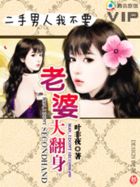 二手男人我不要：老婆大翻身章节列表