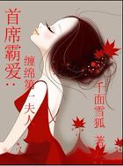 首席霸爱：缠绵第一夫人章节列表