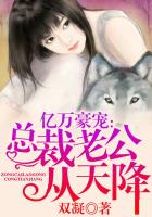 亿万豪宠：总裁老公从天降章节列表