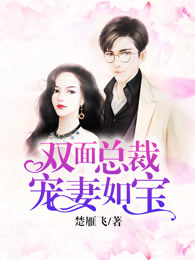 双面总裁宠妻如宝章节列表