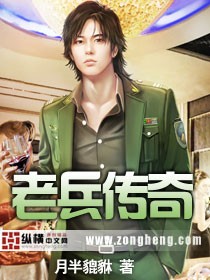 老兵传奇章节列表