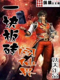 一块板砖闯仙界章节列表