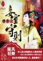 清穿之妾室守则章节列表