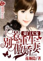 豪门天宠：别惹重生傲娇妻章节列表