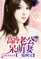 一胎两宝：高冷老公呆萌妻章节列表