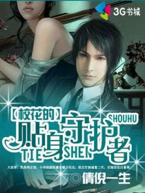 近身守护者章节列表