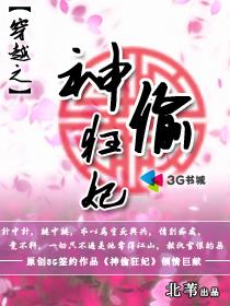 神偷狂妃章节列表