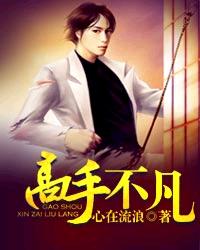 高手不凡章节列表