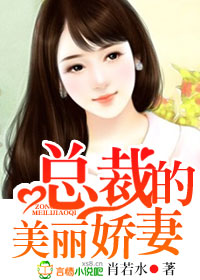 总裁的美丽娇妻章节列表