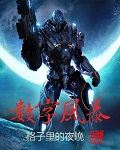 数字风暴章节列表
