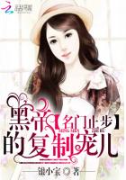 名门止步：黑帝的复制宠儿章节列表