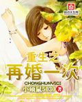 重生之再婚一次章节列表