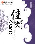 佳婿章节列表