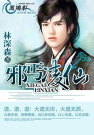 邪丐凌仙章节列表