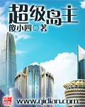 超级岛主章节列表