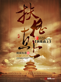 扶摇直上章节列表