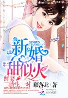 新婚甜似火：鲜妻，二胎生一对章节列表