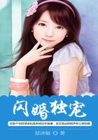 闪婚独宠章节列表