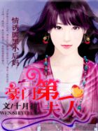 盛宠第一夫人章节列表