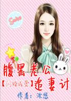 闪婚成爱：腹黑老公追妻计章节列表