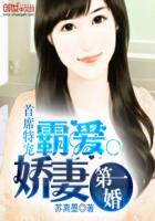 首席特宠：霸爱娇妻第一婚章节列表