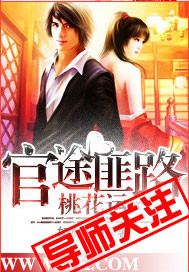 官场布衣章节列表