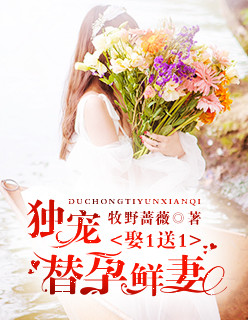 我和初恋空姐荒岛生存的日子章节列表