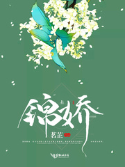 锦娇章节列表