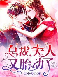 总裁，夫人又胎动了章节列表