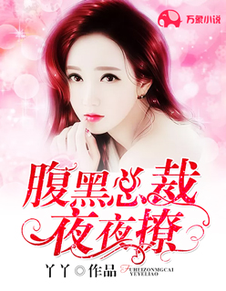 腹黑总裁夜夜撩章节列表