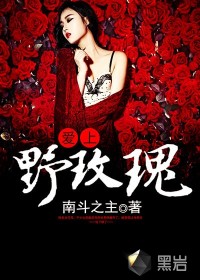 爱上野玫瑰章节列表