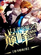 王者荣耀之巅峰章节列表