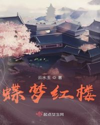 蝶梦红楼章节列表