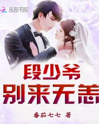 段少爷，别来无恙章节列表