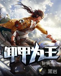 卸甲为王作者修改版章节列表