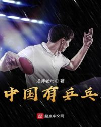 中国有乒乓章节列表