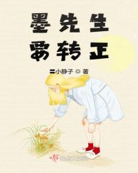 墨先生要转正章节列表