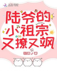 陆爷的小祖宗又撩又飒章节列表