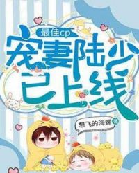 最佳cp：宠妻陆少已上线章节列表