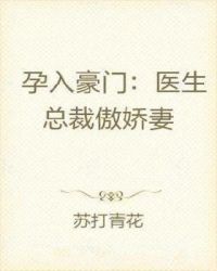 孕入豪门：医生总裁傲娇妻章节列表