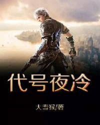 代号夜冷章节列表