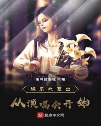 娱乐之复出从演唱会开始章节列表